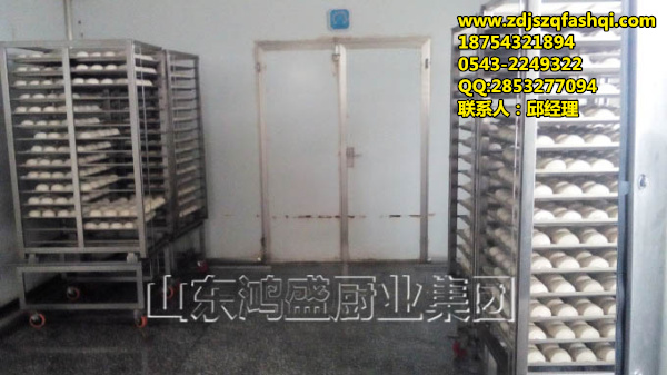 醒发箱 双门电醒发箱 自动醒蒸  醒蒸方案