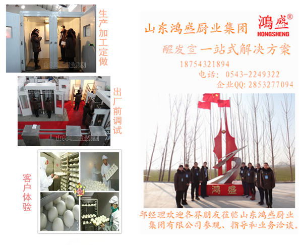  专业醒发设备 醒发箱 发酵室